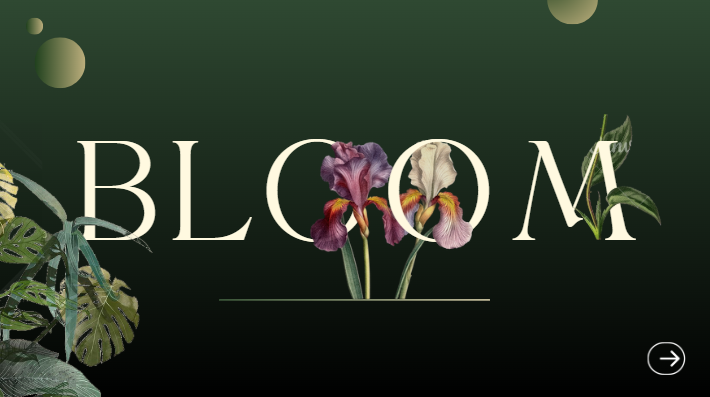 Bloom project image